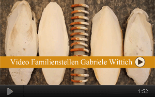 Informationsvideo zur Familienaufstellung